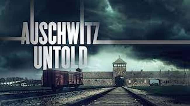 Auschwitz Untold In Colour Season 2 Release Date, Cast, Plot, and Everything You Need to Know