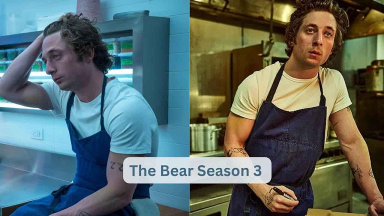 The Bear Season 3  release date, cast, storyline, trailer release, and everything you need to know