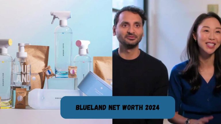 Blueland Net Worth 2024: Eco-Friendly Cleaning Brand’s Market Valuation