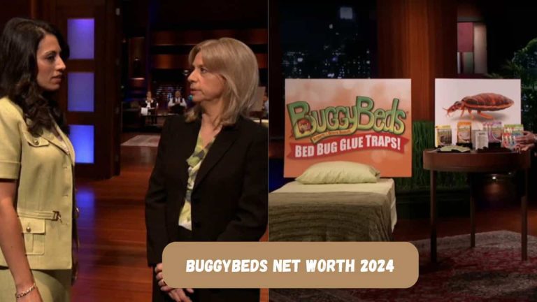 BuggyBeds’ Bottom Line: Tracking Sales and Worth Since Shark Tank