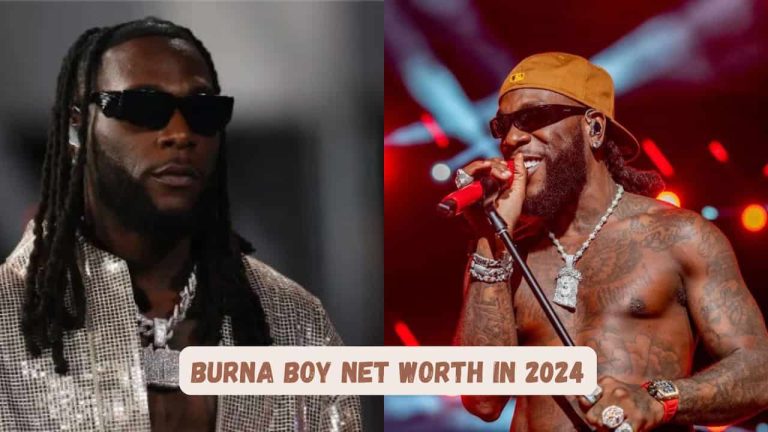 Burna Boy: The African Giant’s Riches and Rise in 2024