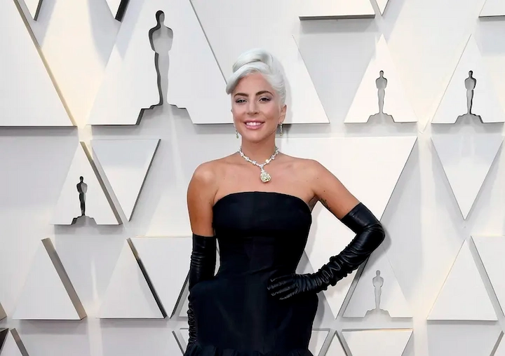 Lady Gaga Net Worth: Age, Career & Life 3 Lady Gaga Net Worth 1