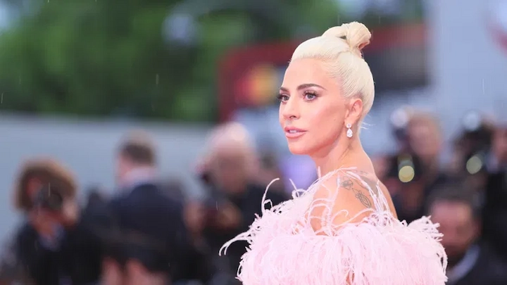 Lady Gaga Net Worth: Age, Career & Life 7 Lady Gaga Net Worth 5